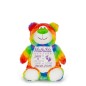 Preview: Stofftier Bär Regenbogen bestickt mit Namen